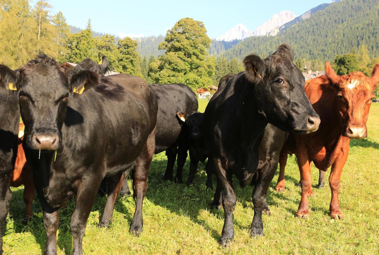 Hotel Laerchenhof Ramsau am Dachstein Εξωτερικό φωτογραφία